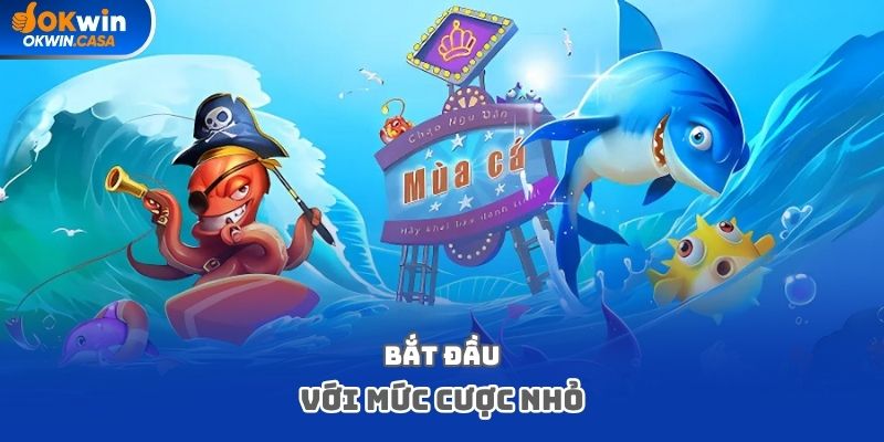 Bắt đầu với mức cược nhỏ