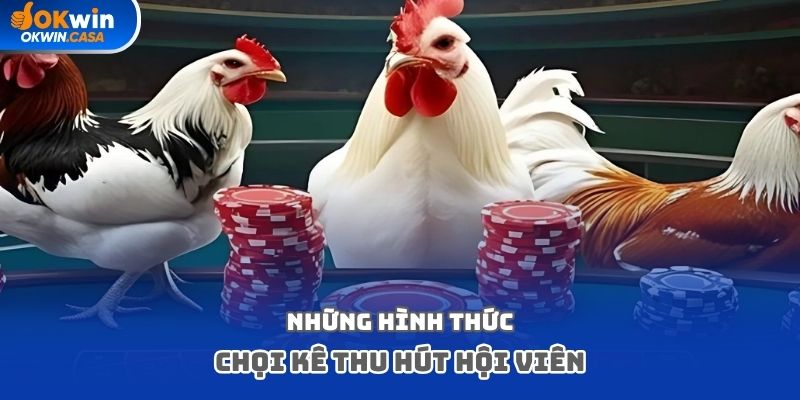Những hình thức chọi kê thu hút hội viên