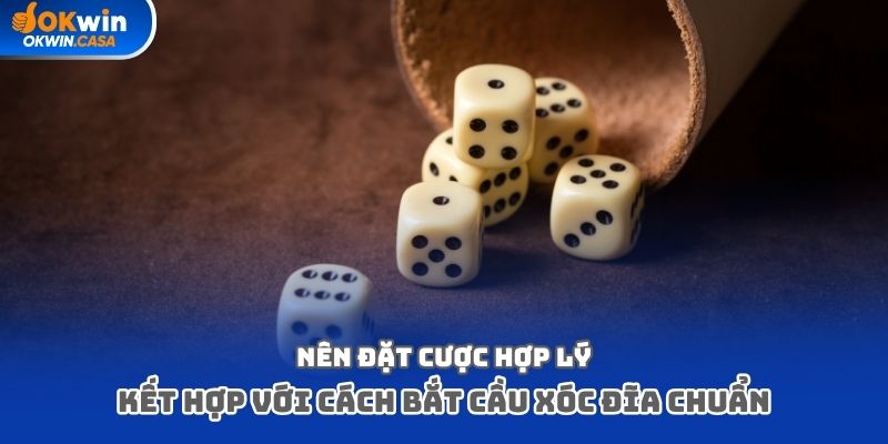 Nên đặt cược hợp lý kết hợp với cách bắt cầu xóc đĩa chuẩn