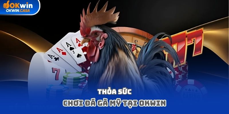 Thỏa sức chơi đá gà Mỹ tại OKWIN