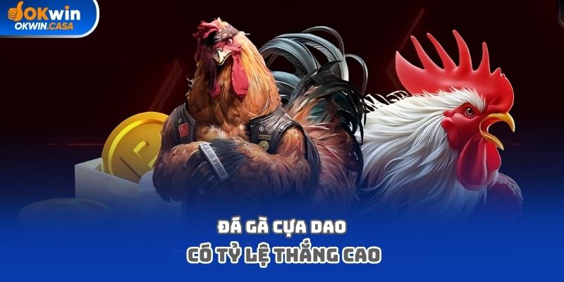 Đá gà cựa dao có tỷ lệ thắng cao
