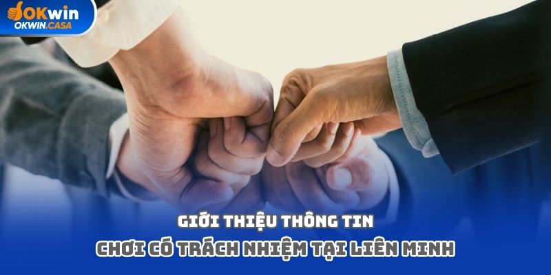 Giới thiệu thông tin chơi có trách nhiệm tại liên minh