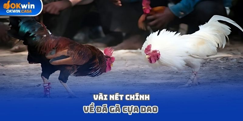 Vài nét chính về đá gà cựa dao 