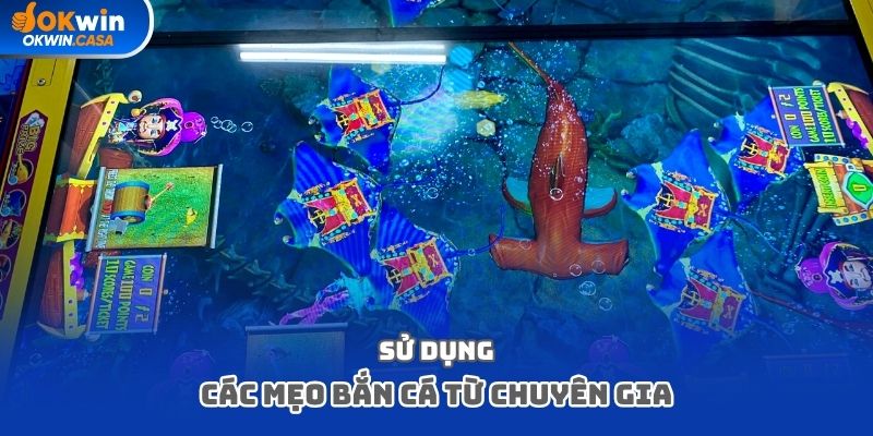 Sử dụng các mẹo bắn cá từ chuyên gia để áp dụng