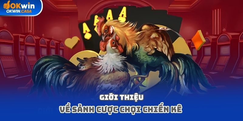 Giới thiệu về sảnh cược chọi chiến kê