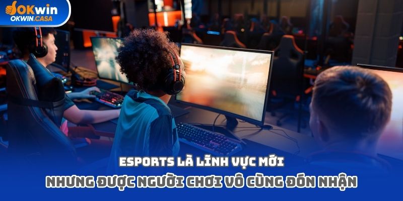 Esports là lĩnh vực mới nhưng được người chơi vô cùng đón nhận