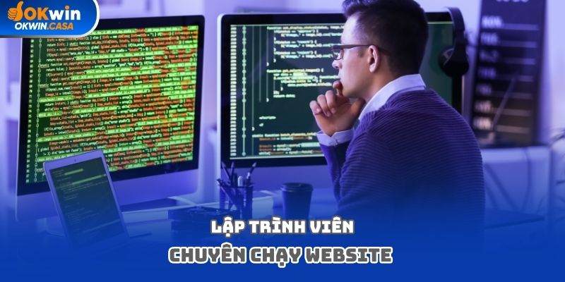 Lập trình viên chuyên chạy Website